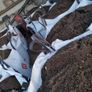 Top soil Image 6
