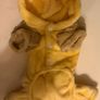 Dog Clothes New Image 2