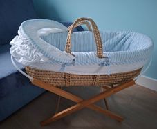 Moses basket
