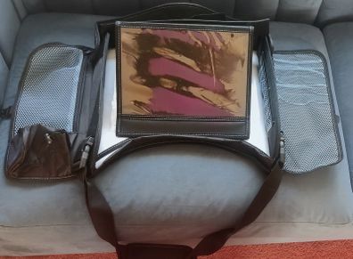 Car activity tray