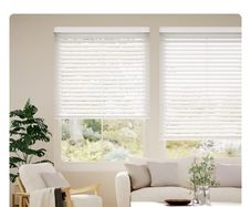Blinds2go Tampa Alpine white blinds x 4