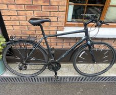 Adult Giant bike