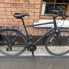 Adult Giant bike
