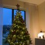 christmas tree Image 2