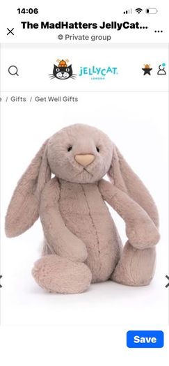 Looking for Jellycat brand genuine big or huge Rosa