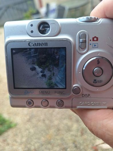 Canon PowerShot A520 digital camera