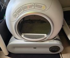 Automatic cat litter