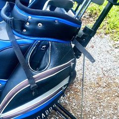 Set of golf clubs