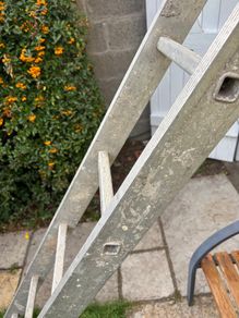 Ladder 12 foot 6 inch