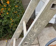 Ladder 12 foot 6 inch