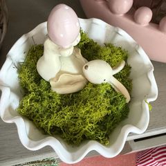 New Bunny in vase with moss