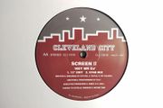 Screen II - Hey Mr DJ - Cleveland City Records - STAB Mix! Early 90s ORGAN House BEAST! MINT Condition!!