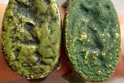 Rare Ancient Roman &amp; Byzantine Bronze Collection - 2 Signet Rings &amp; 2 Coins (4-Piece Lot)