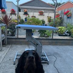 Groom Professional Plata Electric Dog Grooming Table