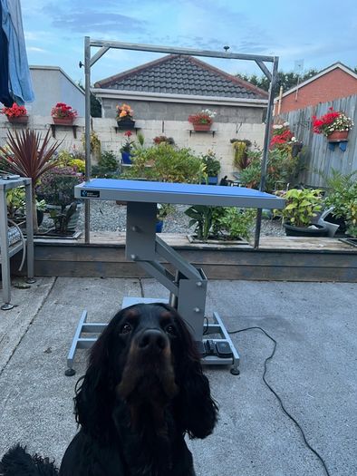 Groom Professional Plata Electric Dog Grooming Table