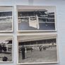 Royal Dublin Horse Show Image 4