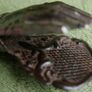 Antique French metal paper clip Image 4