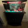 Fish tank Image 2