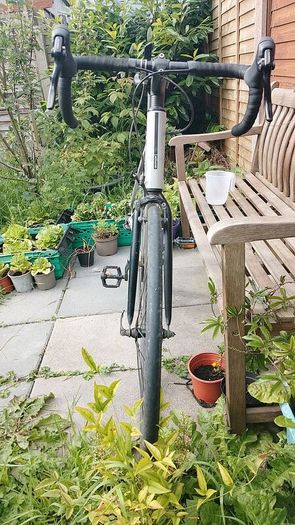 Triban RC100 Road bike - L