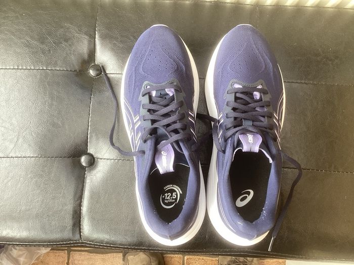 Asics GT 2000 size 42