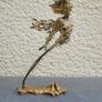 Aura of Motion - Dynamic Flow Sculpture Image 9