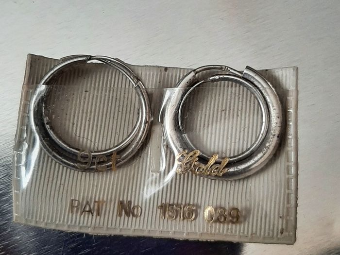 4vsilver earrings