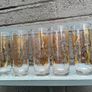5 x Mid Century Highball glasses Image 2