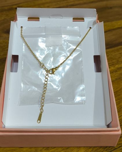 Embossed Zodiac Sign Necklace (Gemini) 100% Stainless Steel