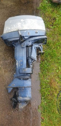 Evinrude 25hp(blue) and 35 HP 300 Euro each