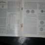 Spink & Son  -  Numismatic Circular Image 8