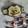 WWE figures, cage, and belt Image 2