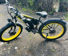 1000w ebike