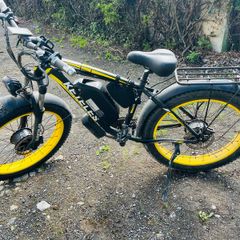 1000w ebike