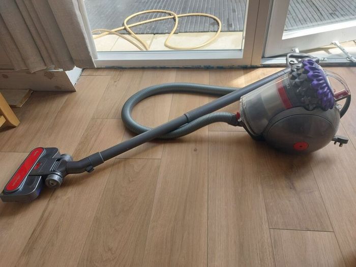 Dyson Big Ball Animal 2