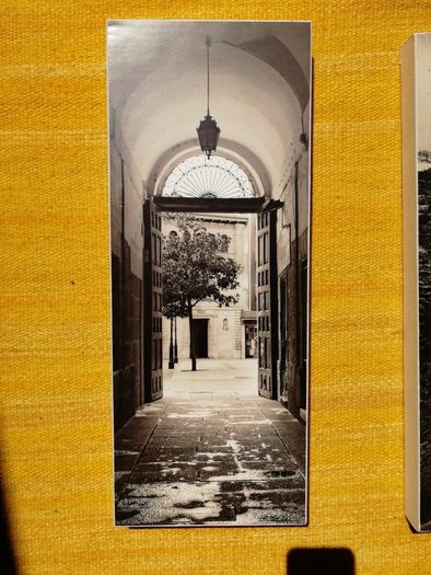 photos on canvas