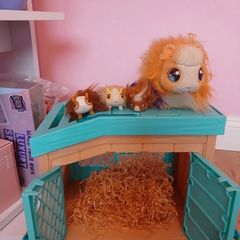 Guiney pig pen toys