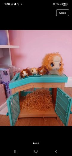 Guiney pig pen toys
