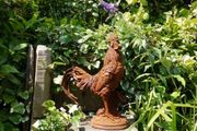 Cockerel Rusty Large D2821