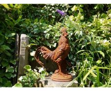 Cockerel Rusty Large D2821