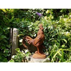 Cockerel Rusty Large D2821
