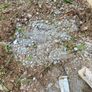 FREE hardcore / gravel stones Image 9