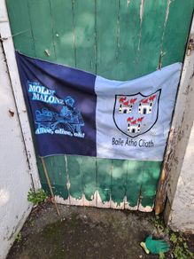 dublin flag
