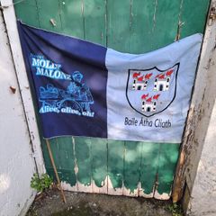 dublin flag