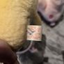 Funshine Sunshine Vintage Care Bear Carebear Plush Kenner 6.5inch 1983 Image 10