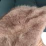 Vintage Kate's Canadian Boutique Fur Hat Image 8