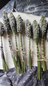 Handmade Lavender Wands
