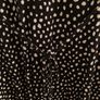Fat Face black and white dress Image 4