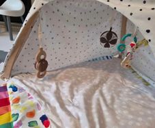 Lovevery Play Gym