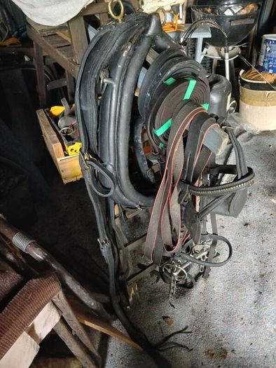 Vintage Pony Trap