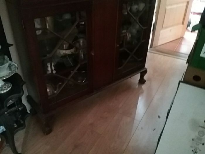 Edwardian Two Door Glazed Display/Book Cabinet